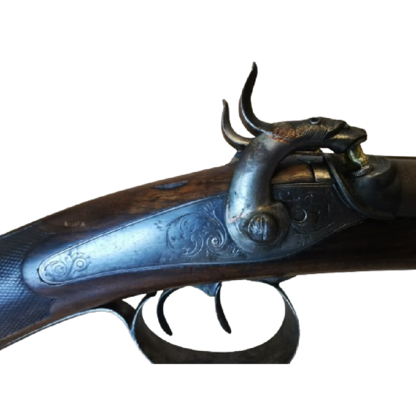 Fusil de chasse juxtaposé à piston, calibre 20, chiens extérieurs sculptés avec des têtes de chiens. - Image 3