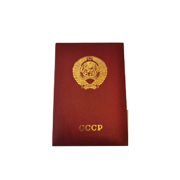 Médaille URSS Ordre de l'amitié des peuples - Image 3